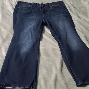 Terra & Sky 22W Pants